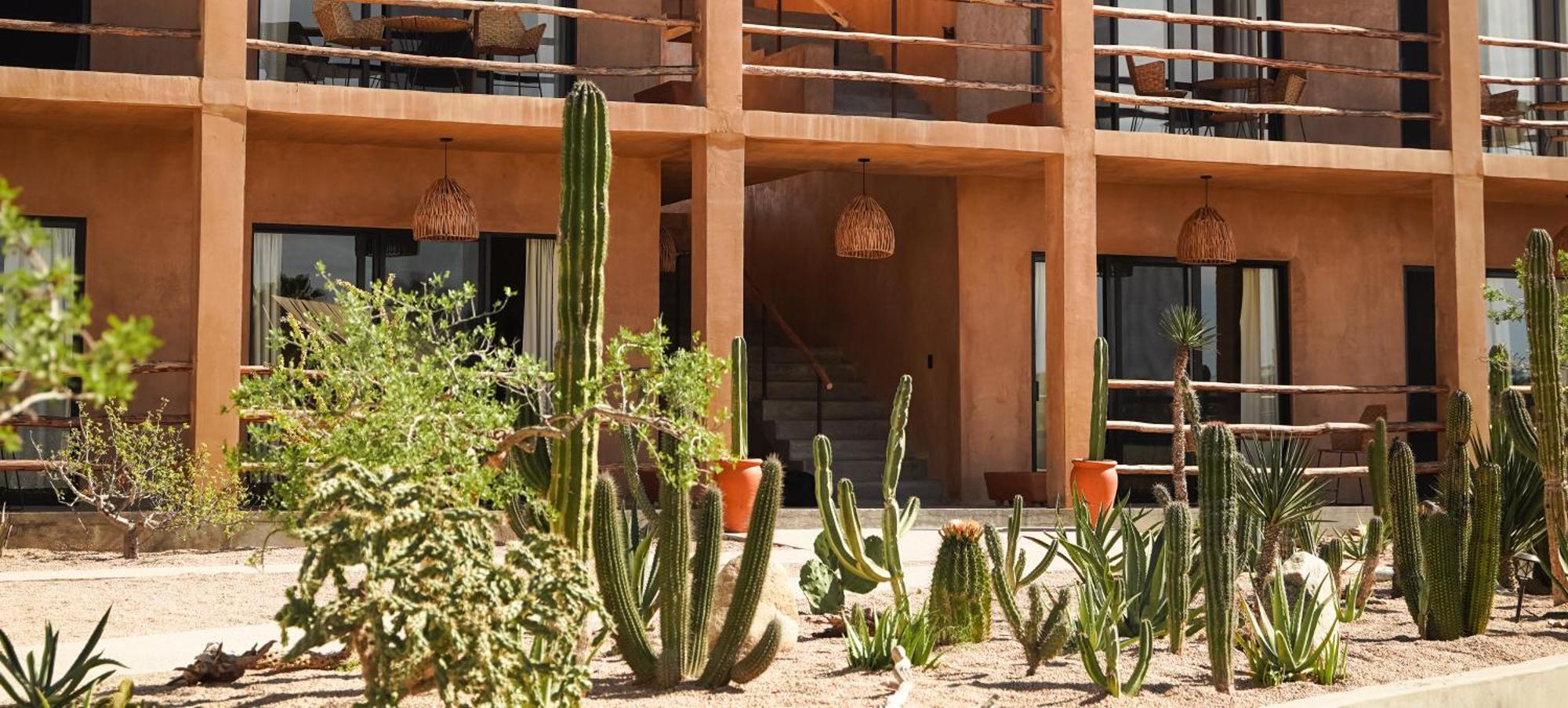 Baja Temple Ξενοδοχείο Todos Santos Εξωτερικό φωτογραφία
